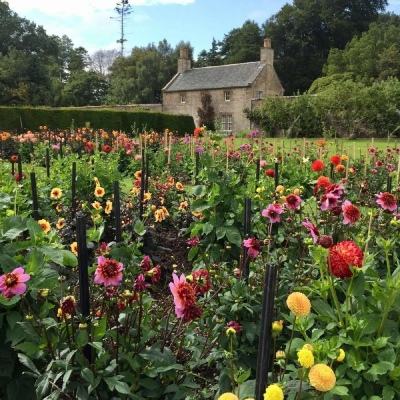 三维控股集团股份有限公司关于控股股东股票质押式回购交易延期购回的公告