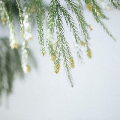 水处理设备选型决策核心依据：技...